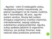 Agurkų auginimo technologija 2 puslapis