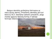 Agurkų auginimo technologija 11 puslapis