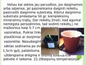 Agurkų auginimo technologija 14 puslapis