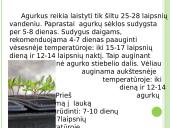 Agurkų auginimo technologija 15 puslapis