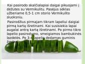 Agurkų auginimo technologija 17 puslapis