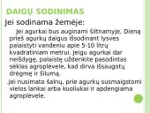 Agurkų auginimo technologija 18 puslapis