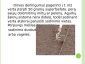 Agurkų auginimo technologija 6 puslapis