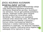 Agurkų auginimo technologija 7 puslapis