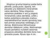 Agurkų auginimo technologija 9 puslapis