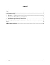 Etikos problemos analizė 2 puslapis