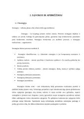 Europos Sąjungos informacinės visuomenės strategijos 4 puslapis