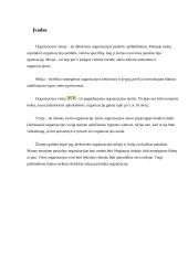 Verslo misija, vizija 3 puslapis