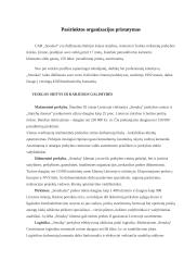 Verslo misija, vizija 4 puslapis