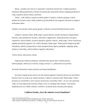 Lyginamoji gerosios socialinės ekonimikos praktinė analizė 4 puslapis