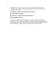 Įmonės analizė. Organizacija ,, EUFORIJA‘ 9 puslapis