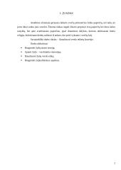 Verslo etiketas Izraelyje 2 puslapis