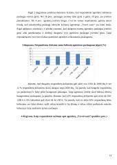 Turizmo agentūros „Travel Oasis“ marketingo planas 13 puslapis