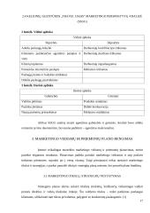 Turizmo agentūros „Travel Oasis“ marketingo planas 17 puslapis