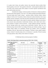 Turizmo agentūros „Travel Oasis“ marketingo planas 19 puslapis