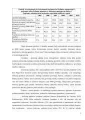 Turizmo agentūros „Travel Oasis“ marketingo planas 5 puslapis
