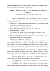 Turizmo agentūros „Travel Oasis“ marketingo planas 8 puslapis