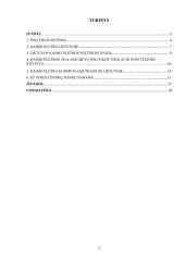 Europos Sąjungos politika plėtojant kaimą Lietuvoje 2 puslapis