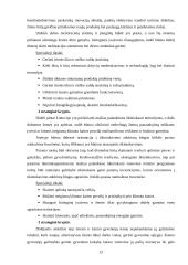 Europos Sąjungos politika plėtojant kaimą Lietuvoje 13 puslapis