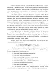 Europos Sąjungos politika plėtojant kaimą Lietuvoje 15 puslapis