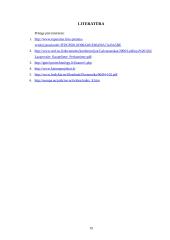 Europos Sąjungos politika plėtojant kaimą Lietuvoje 19 puslapis