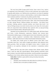 Europos Sąjungos politika plėtojant kaimą Lietuvoje 3 puslapis