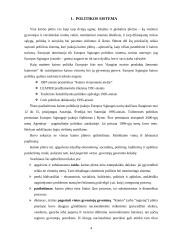 Europos Sąjungos politika plėtojant kaimą Lietuvoje 4 puslapis