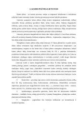 Europos Sąjungos politika plėtojant kaimą Lietuvoje 7 puslapis