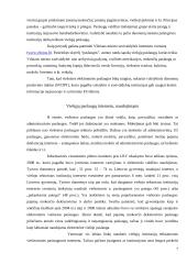 Rašto darbas: Viešųjų paslaugų teikimas naudojant informacines technologijas 7 puslapis