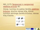 Elektra skaidrės 11 puslapis