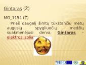 Elektra skaidrės 3 puslapis