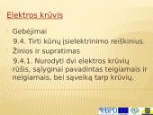 Elektra skaidrės 6 puslapis