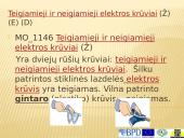 Elektra skaidrės 10 puslapis