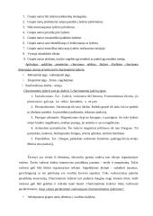 Referatas: Lyderystė 11 puslapis