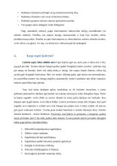 Referatas: Lyderystė 12 puslapis