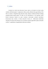 Referatas: Lyderystė 3 puslapis