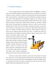 Referatas: Lyderystė 4 puslapis