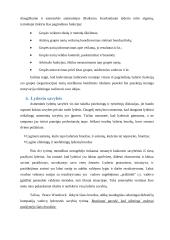 Referatas: Lyderystė 6 puslapis
