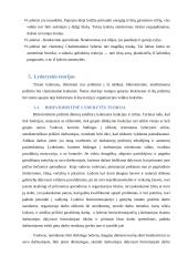 Referatas: Lyderystė 8 puslapis
