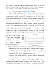 Referatas: Lyderystė 9 puslapis
