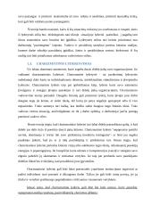 Referatas: Lyderystė 10 puslapis
