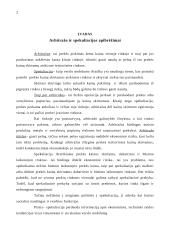 Arbitražo ekonominė analizė 2 puslapis