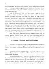 Arbitražo ekonominė analizė 11 puslapis