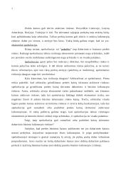 Arbitražo ekonominė analizė 7 puslapis