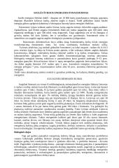 Energetinių išteklių resursai 12 puslapis