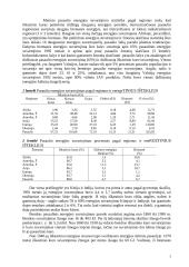 Energetinių išteklių resursai 3 puslapis