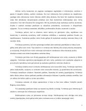 Nekilnojamo turto vertinimo pagrindų kursinis darbas 8 puslapis