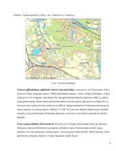 Nekilnojamo turto vertinimo pagrindų kursinis darbas 10 puslapis