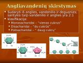 Angliavandeniai ir jų rūšys 5 puslapis
