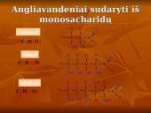 Angliavandeniai ir jų rūšys 6 puslapis